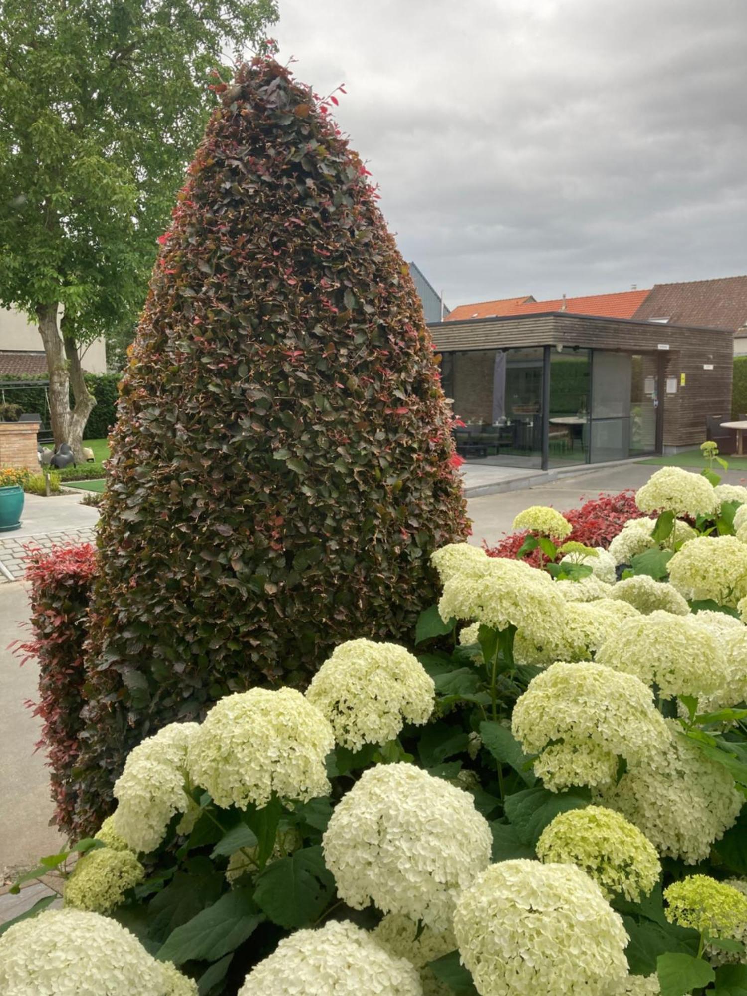 B&B Bertem Natuur 외부 사진
